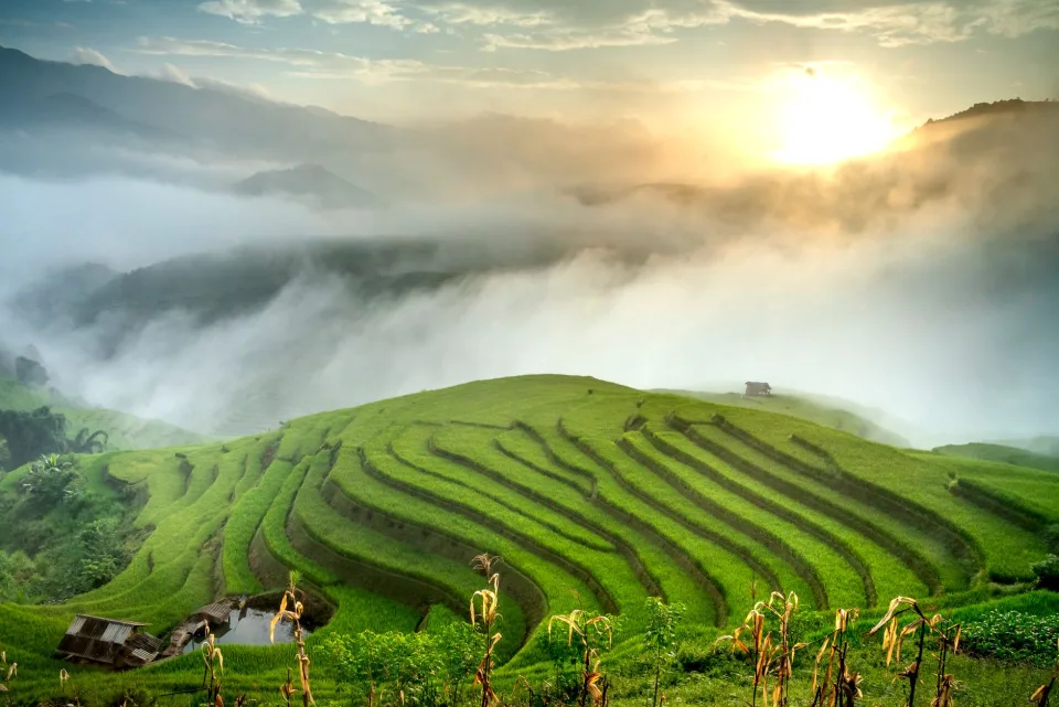 Kho gạo của Nguyễn Thị Bình 1979